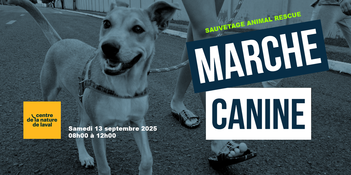 Marche Canine 2025