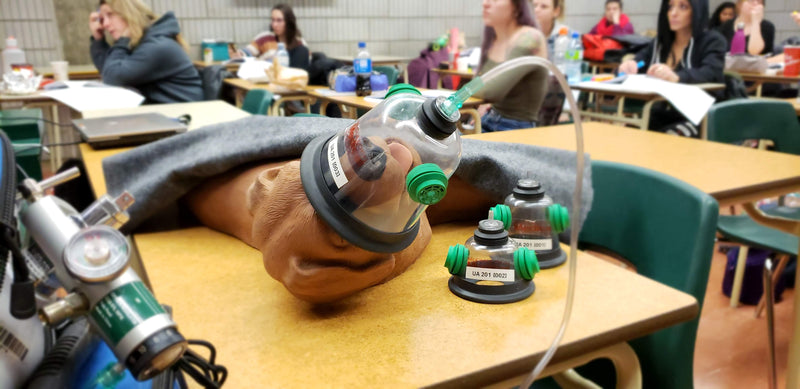 Formation • Premiers Secours Animal • 50 modules • 16 heures • 13 & 14 décembre 2025 • Montréal