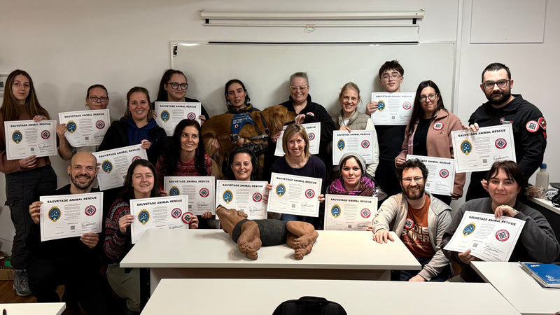 Formation • Premiers Secours Animal • 50 modules • 16 heures • 21 & 22 février 2026 • Montréal