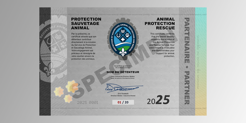 Certificat de Partenaire